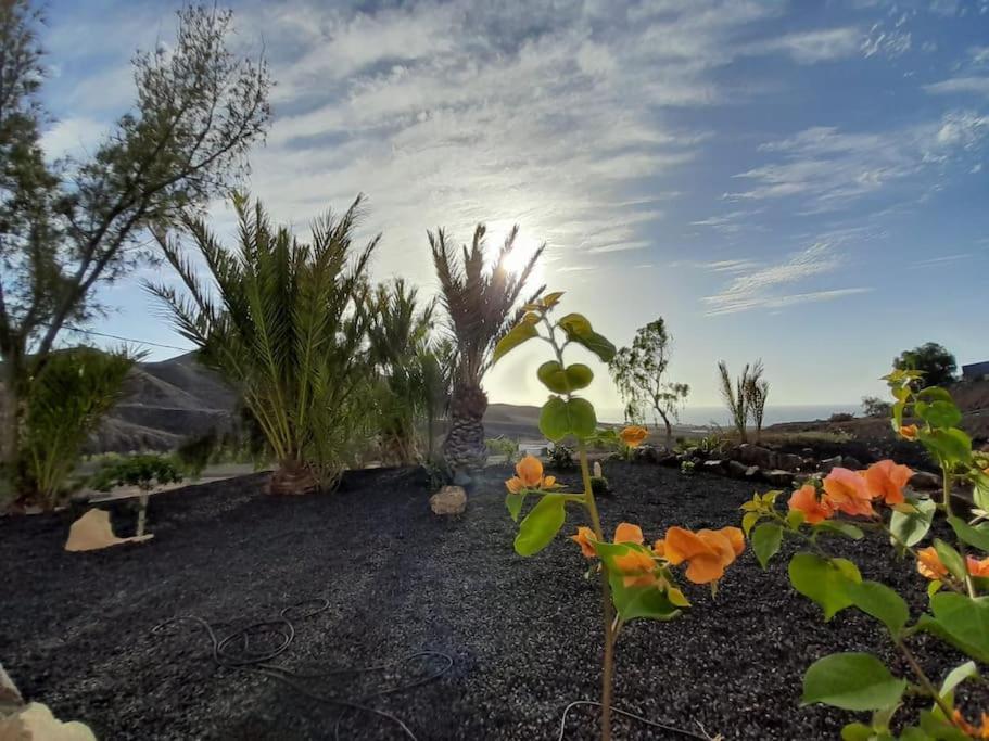 Villa Casagrande Sunset II - Fuerteventura - Costa Calma à Pájara Extérieur photo